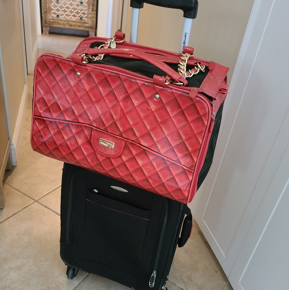 A Pet with Paws Dog Carrier for Small Dogs  Airline-approved